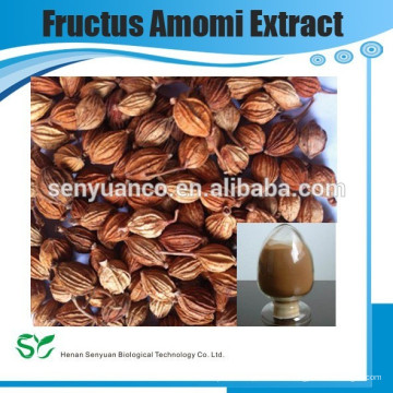 Bester Verkauf Fructus Amomi Extrakt